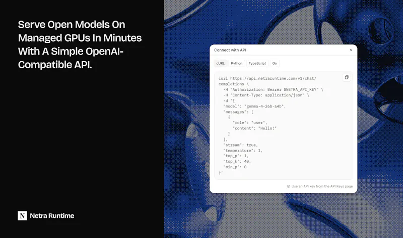 Netra Runtime screenshot 2
