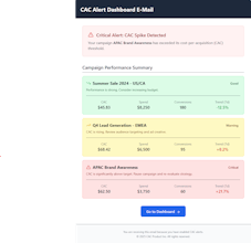 CAC Alert - Real Time CAC Spike Alert gallery image