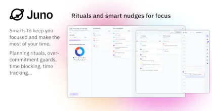 Juno digital planner gallery image