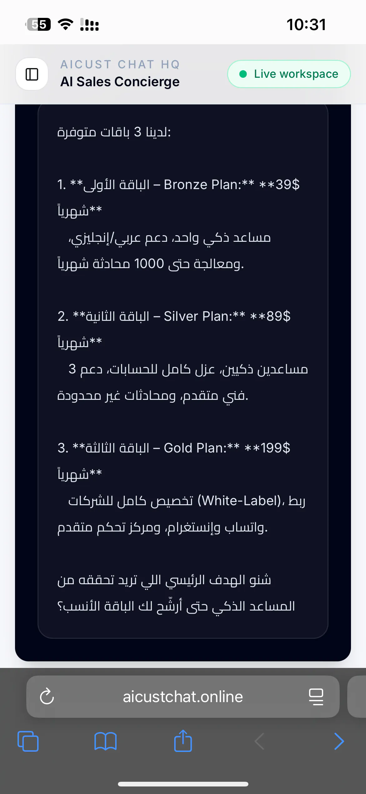 AICUST CHAT