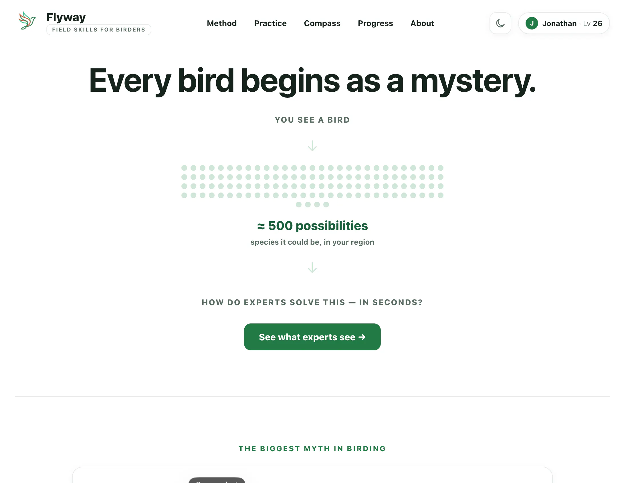 Flyway gallery image