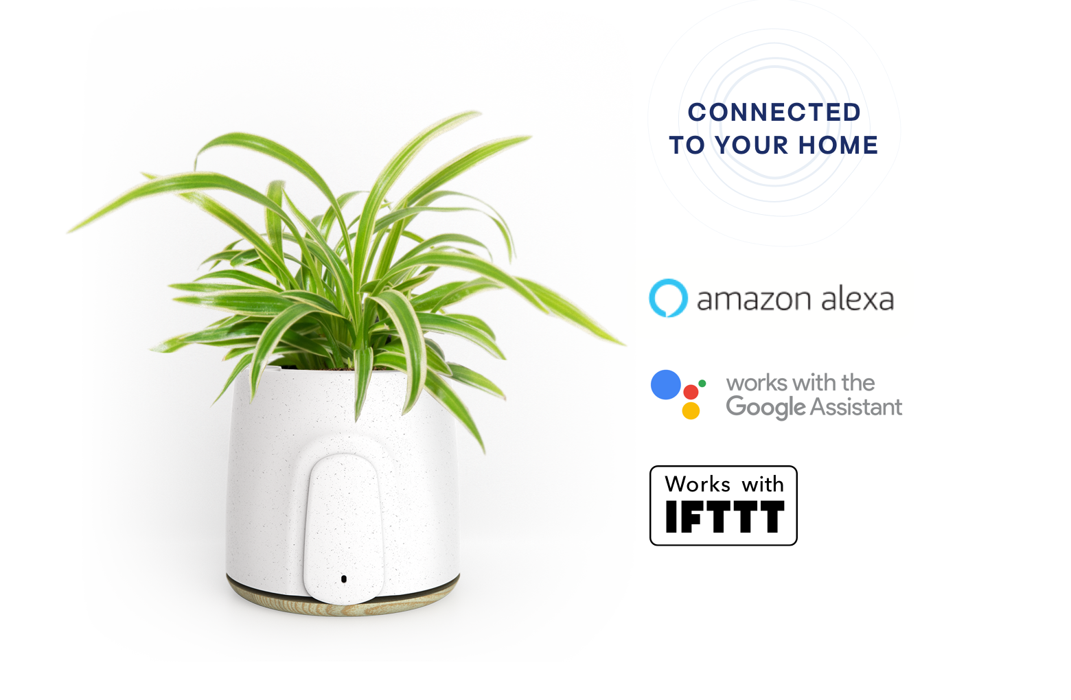 NATEDE gallery image