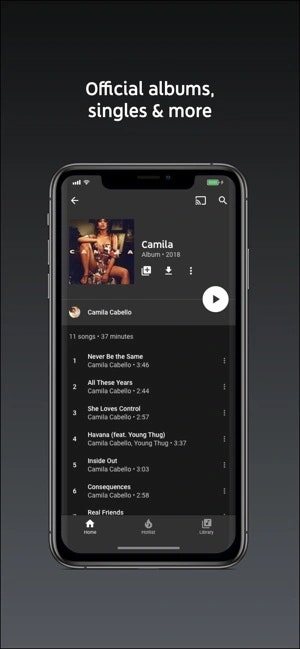 IMusic media 1