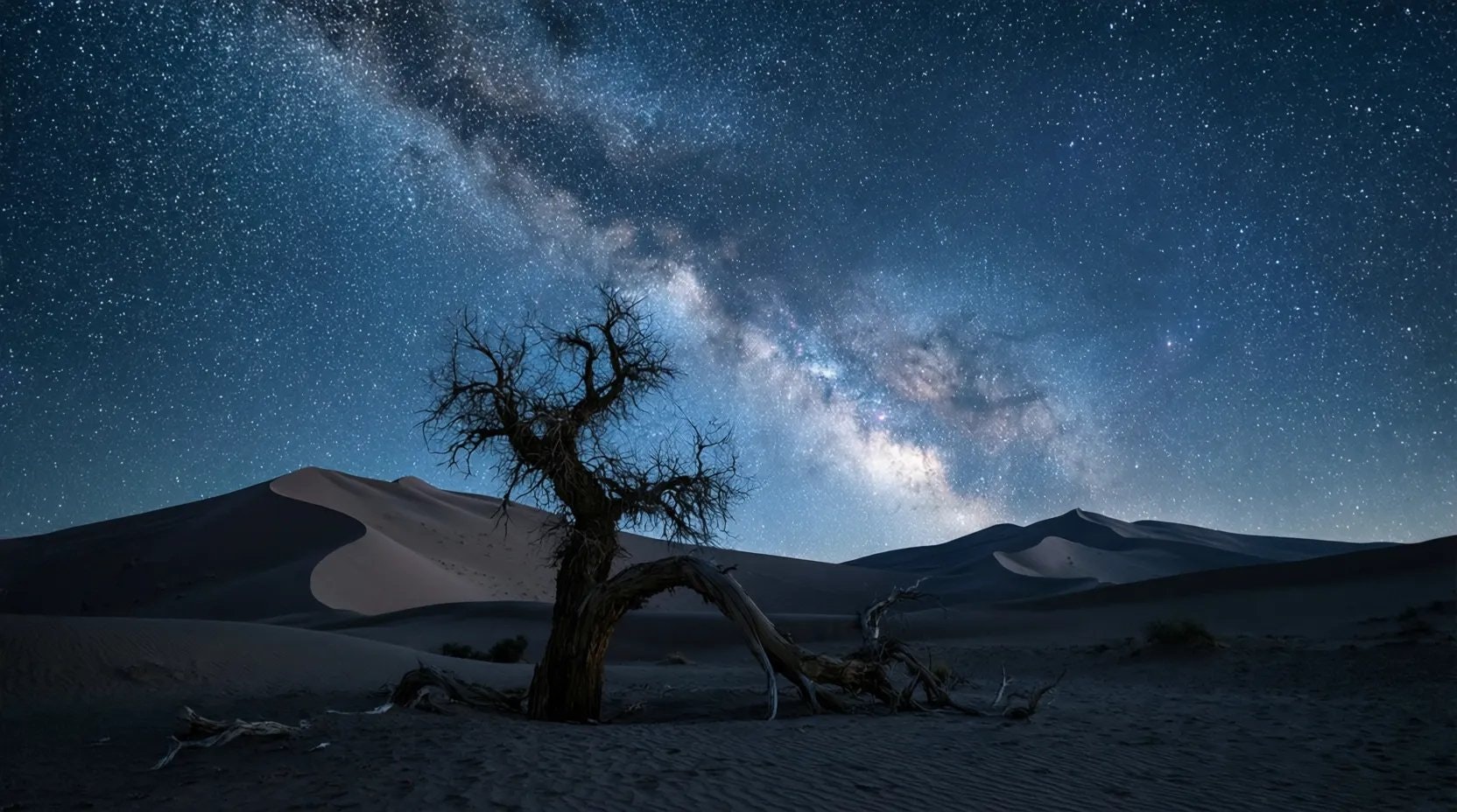 Qwen-Image-2512 gallery image