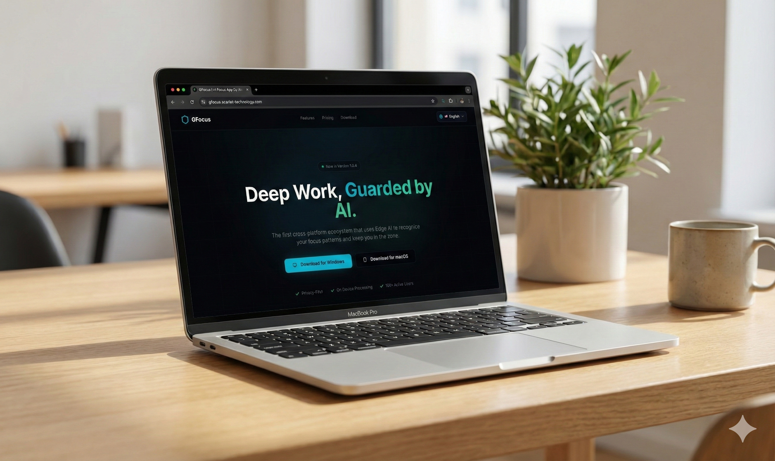 GFocus gallery image