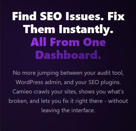 Camieo WordPress SEO Audit Tool Launch! gallery image