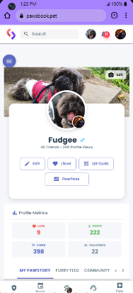 PawsMatch - Main product screenshot demonstrating key features and user interface
