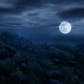 Dear Esther