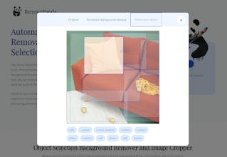 RemovePanda gallery image