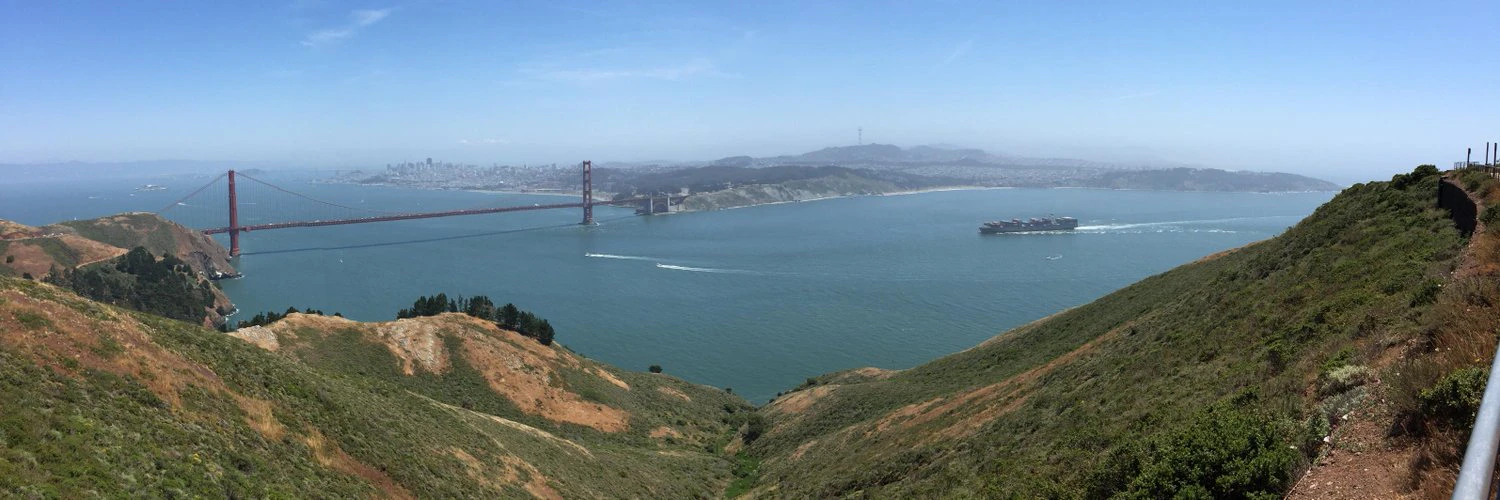 Den Delimarsky cover