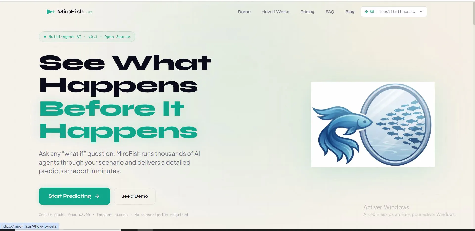MiroFish gallery image