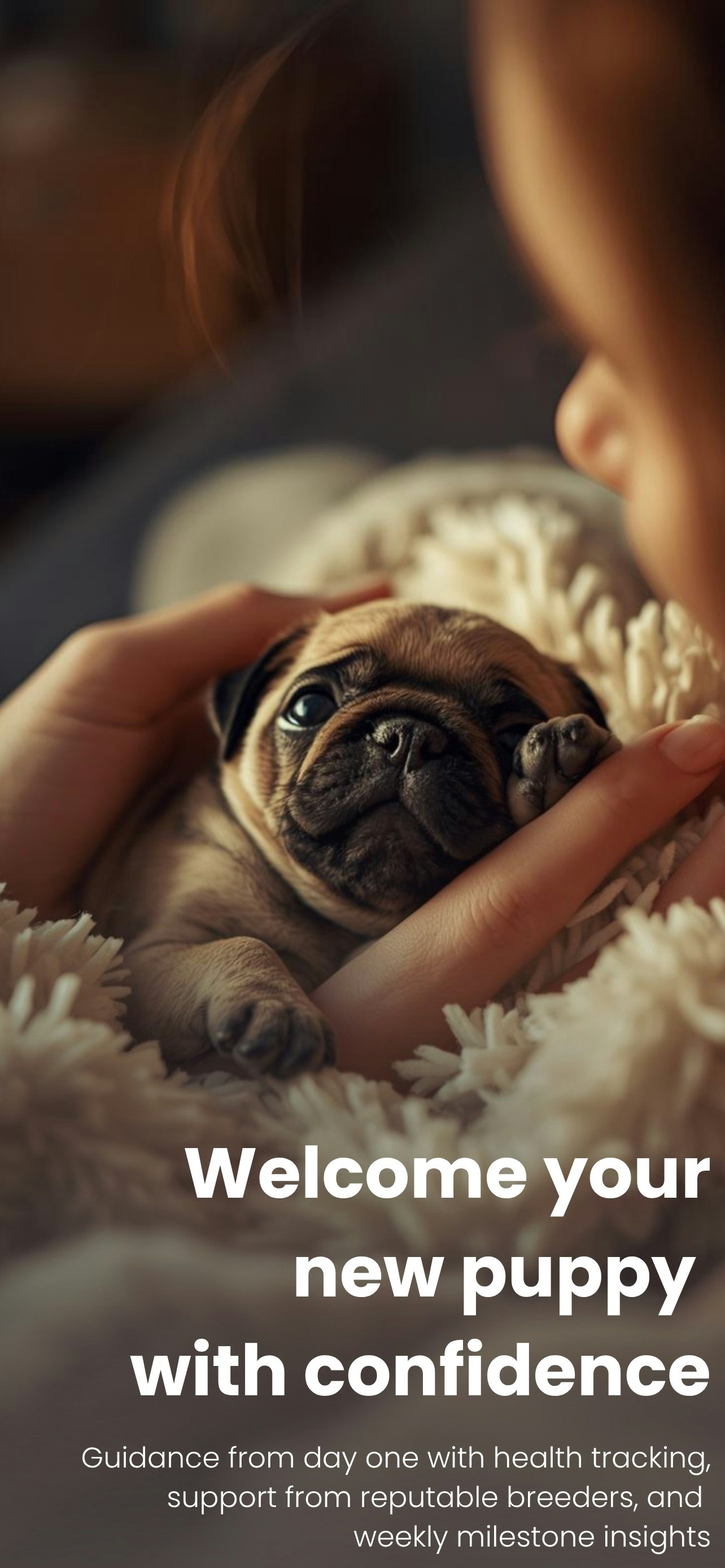 Pawhealth AI gallery image