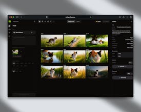 Flenly gallery image