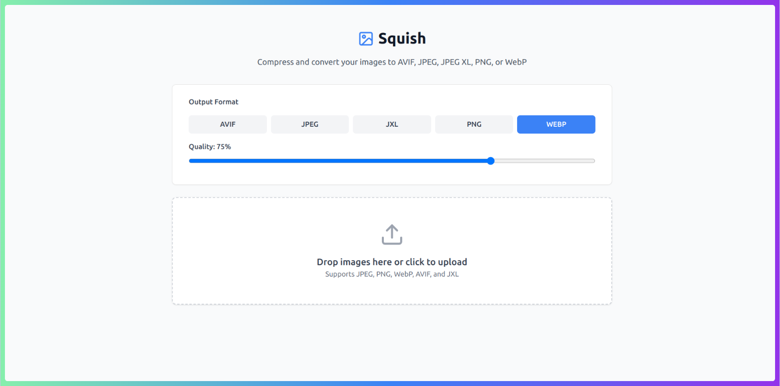 Squish gallery image