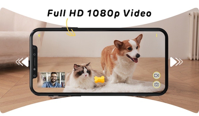 Media Guluu - Xử lý máy ảnh FaceTime thú cưng đi kèm với 24/7 4