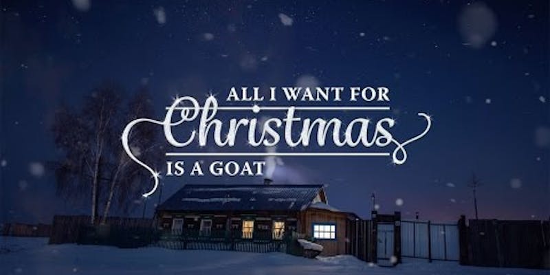 'All I Want For Christmas Is A Goat' - Christmas Album media 1