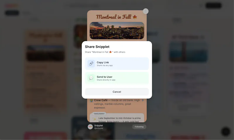 Snipplet screenshot 7