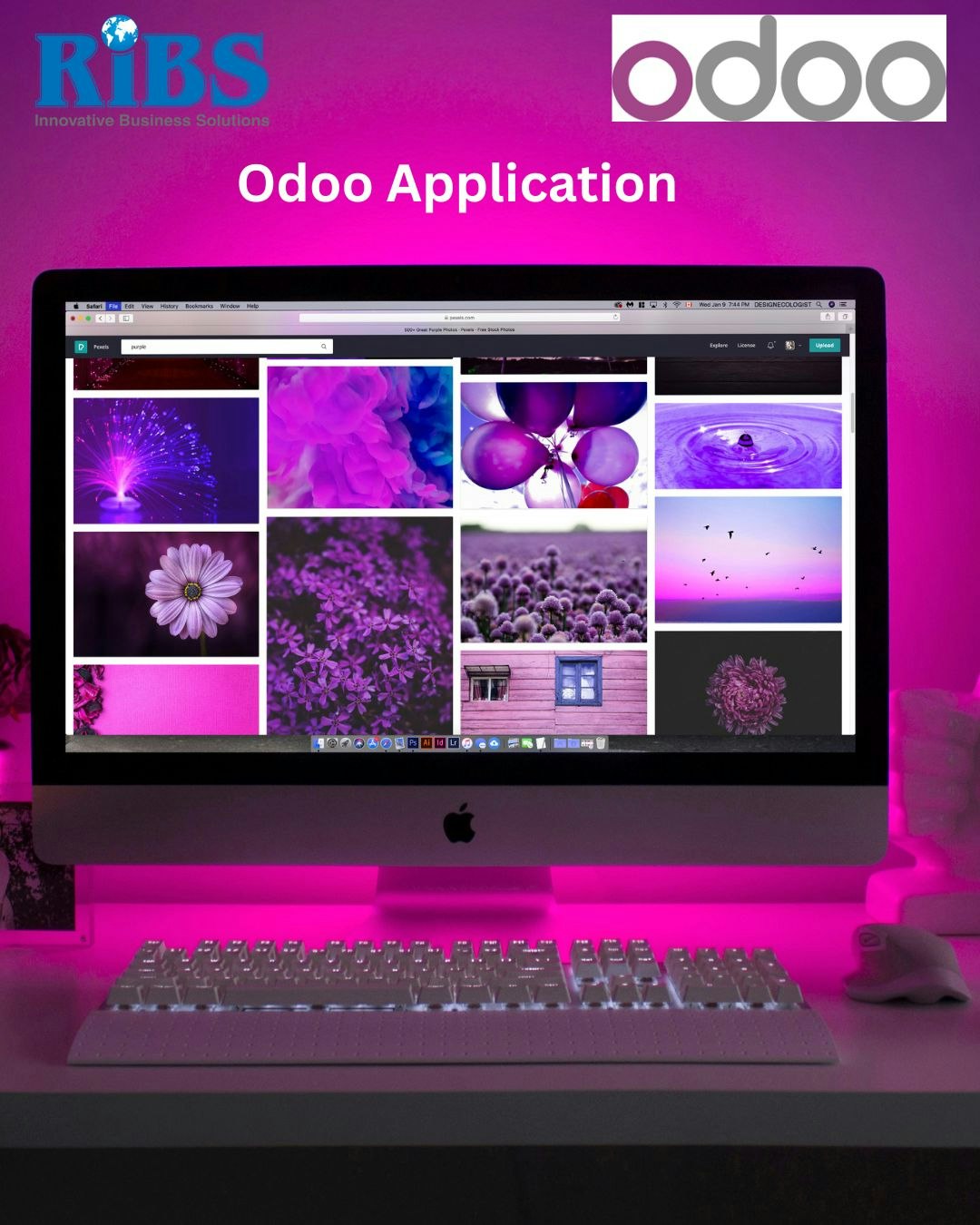 Odoo Finance 프로세스 응용 프로그램 - Odoo Finance & Accouns Solution |급여 및 자산 관리 미디어 1