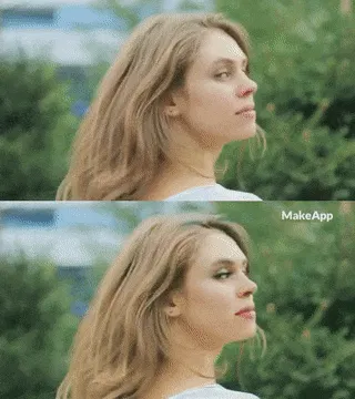MakeApp 3.0 Image