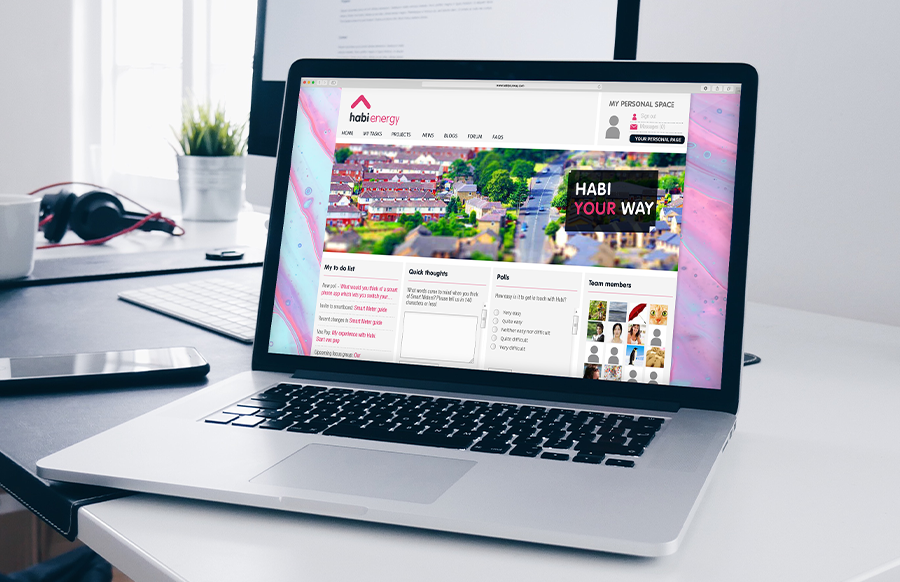 FlexMR InsightHub gallery image