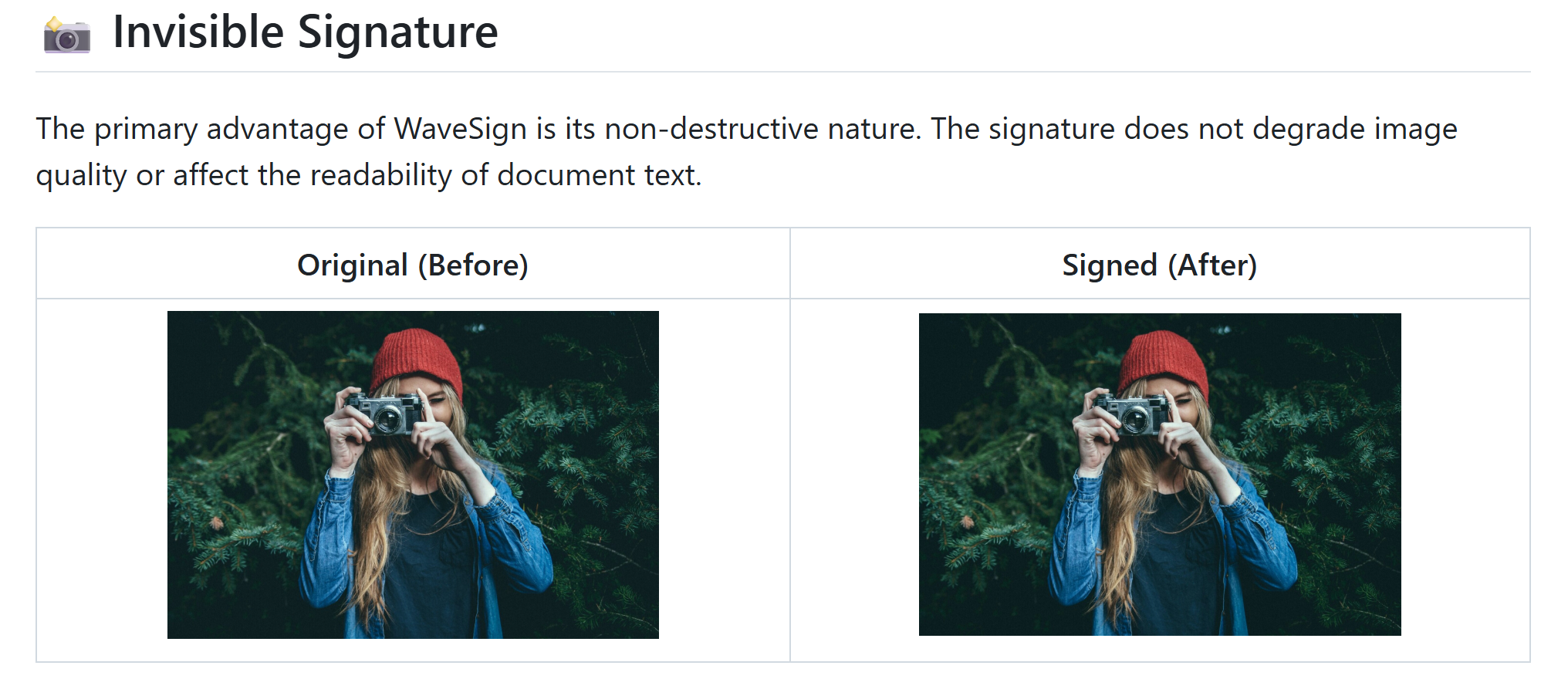 WaveSign gallery image