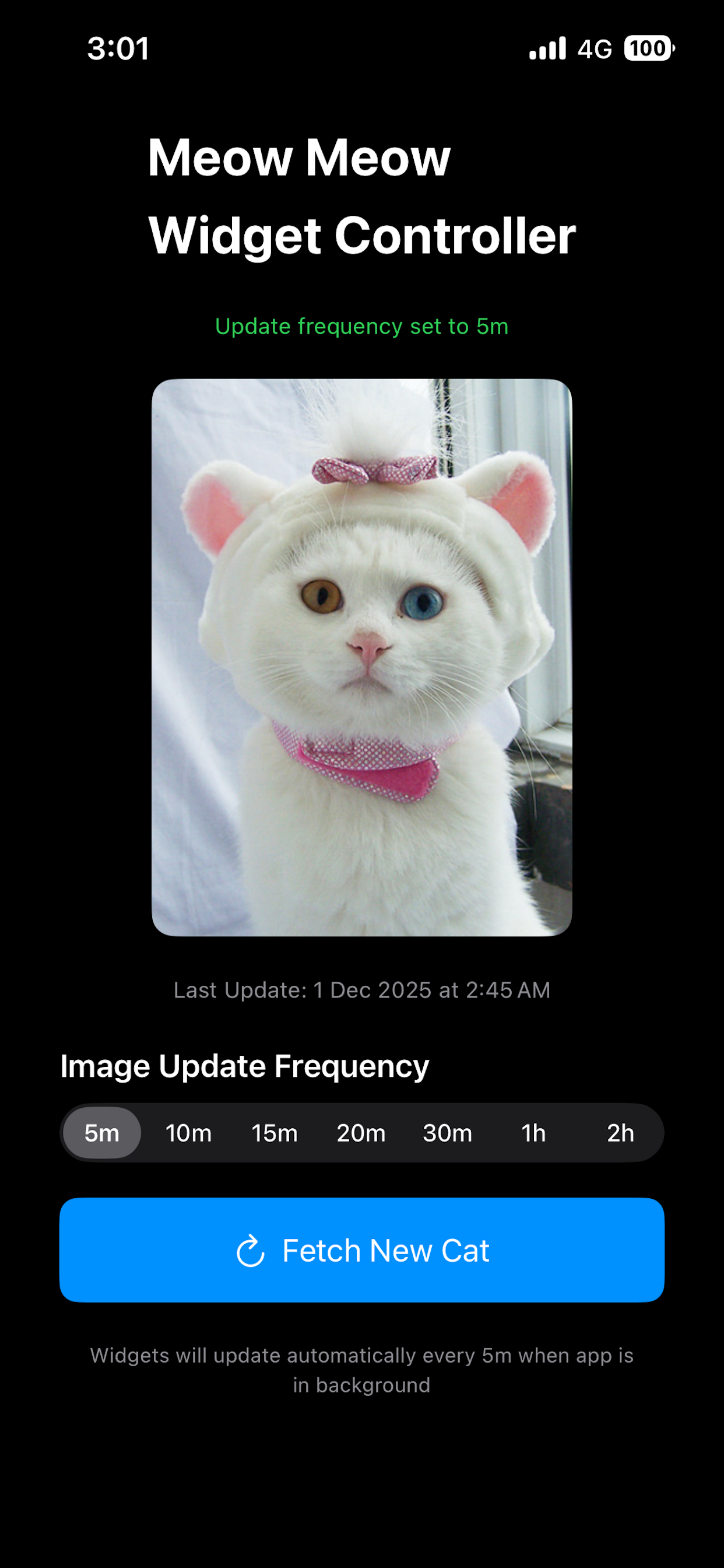 Meow Meow gallery image