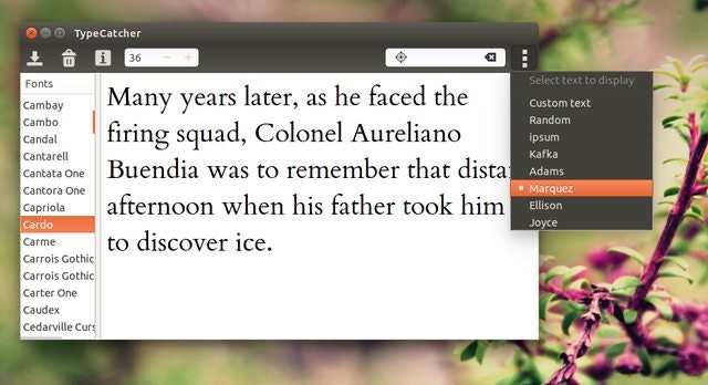 TypeCatcher gallery image