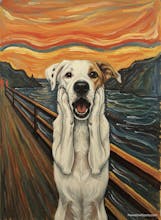 Dog Cartoonizer app - alpha version gallery image