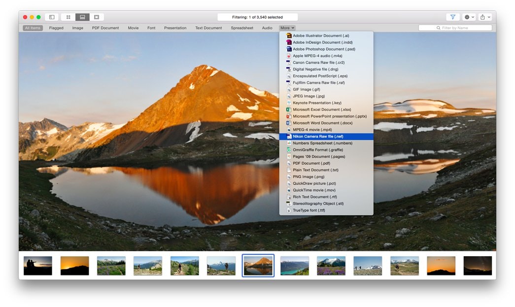 Fileloupe gallery image