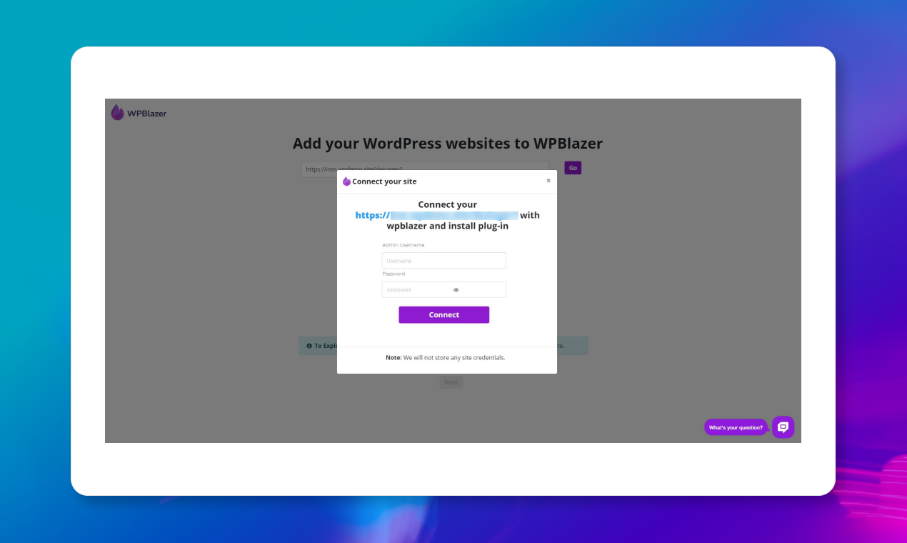 WP Blazer media 3