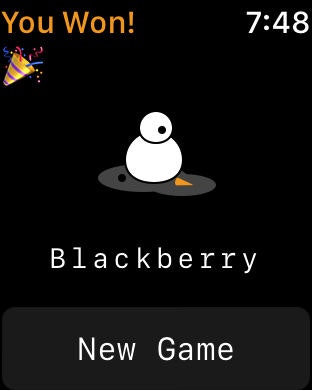 Snowman gallery image