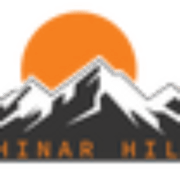 Chinar Hills Shilajit