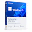 Windows 11 Enterprise LTSC 2024