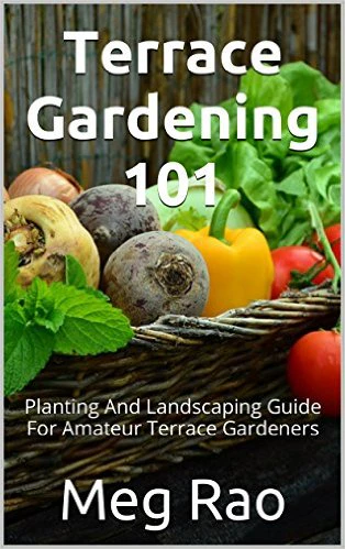 Terrace Gardening 101
