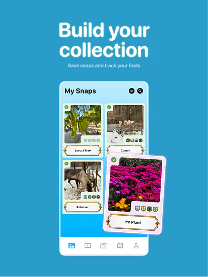 Snappit gallery image