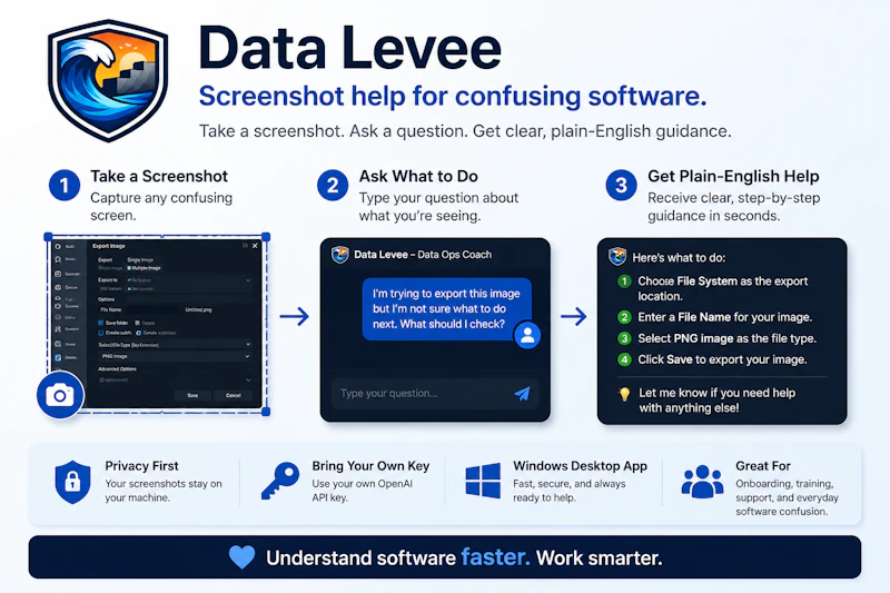 Data Levee screenshot 4