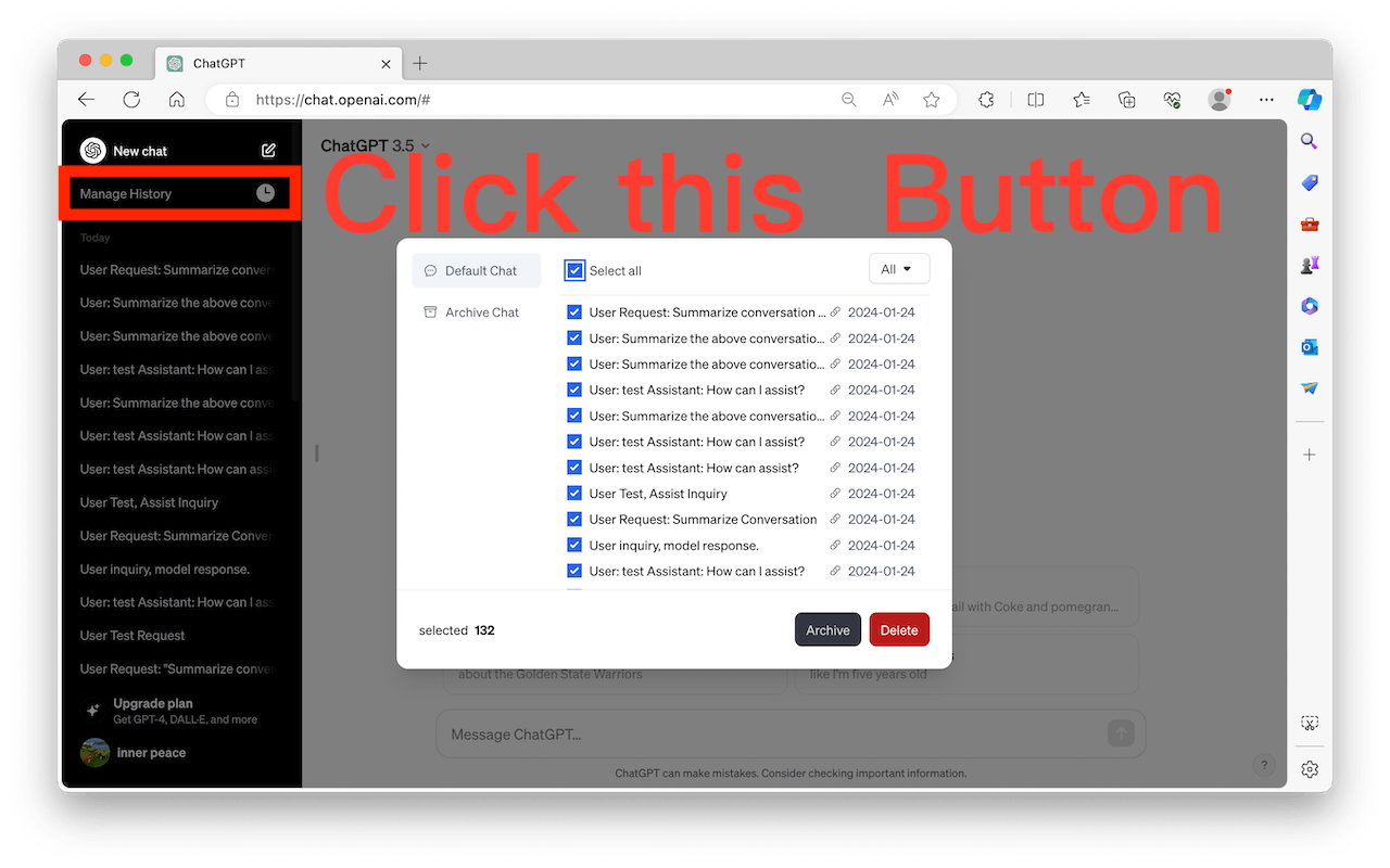 ChatGTP Batch Delete History media 1