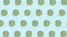 Searchbirds