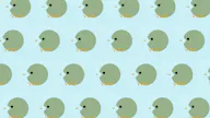 Searchbirds