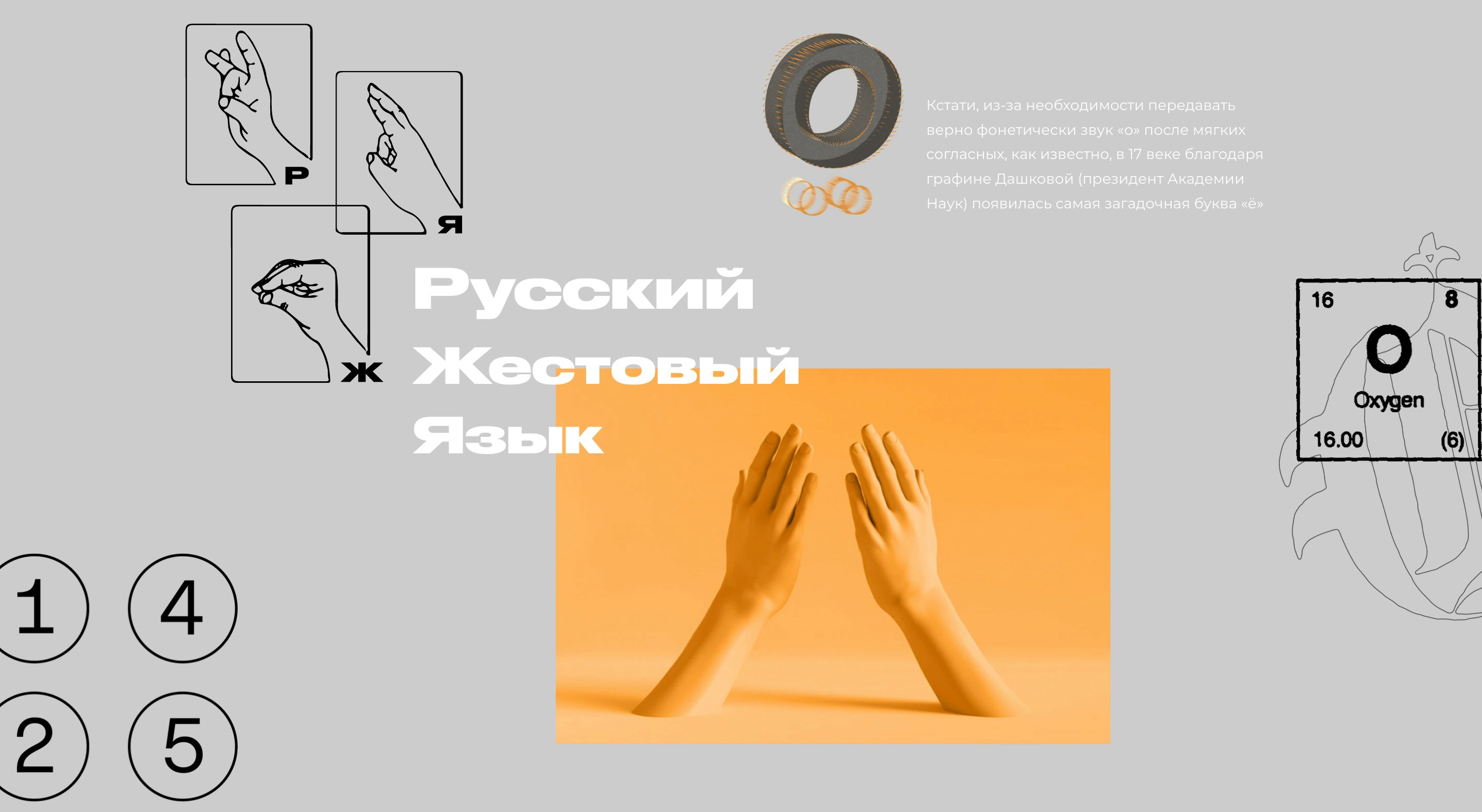 ZINE LOOP gallery image