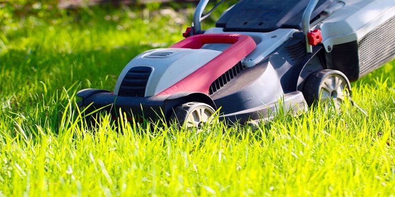 Best Electric Lawn Mowers