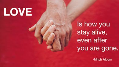 Love Notes Time Capsule gallery image