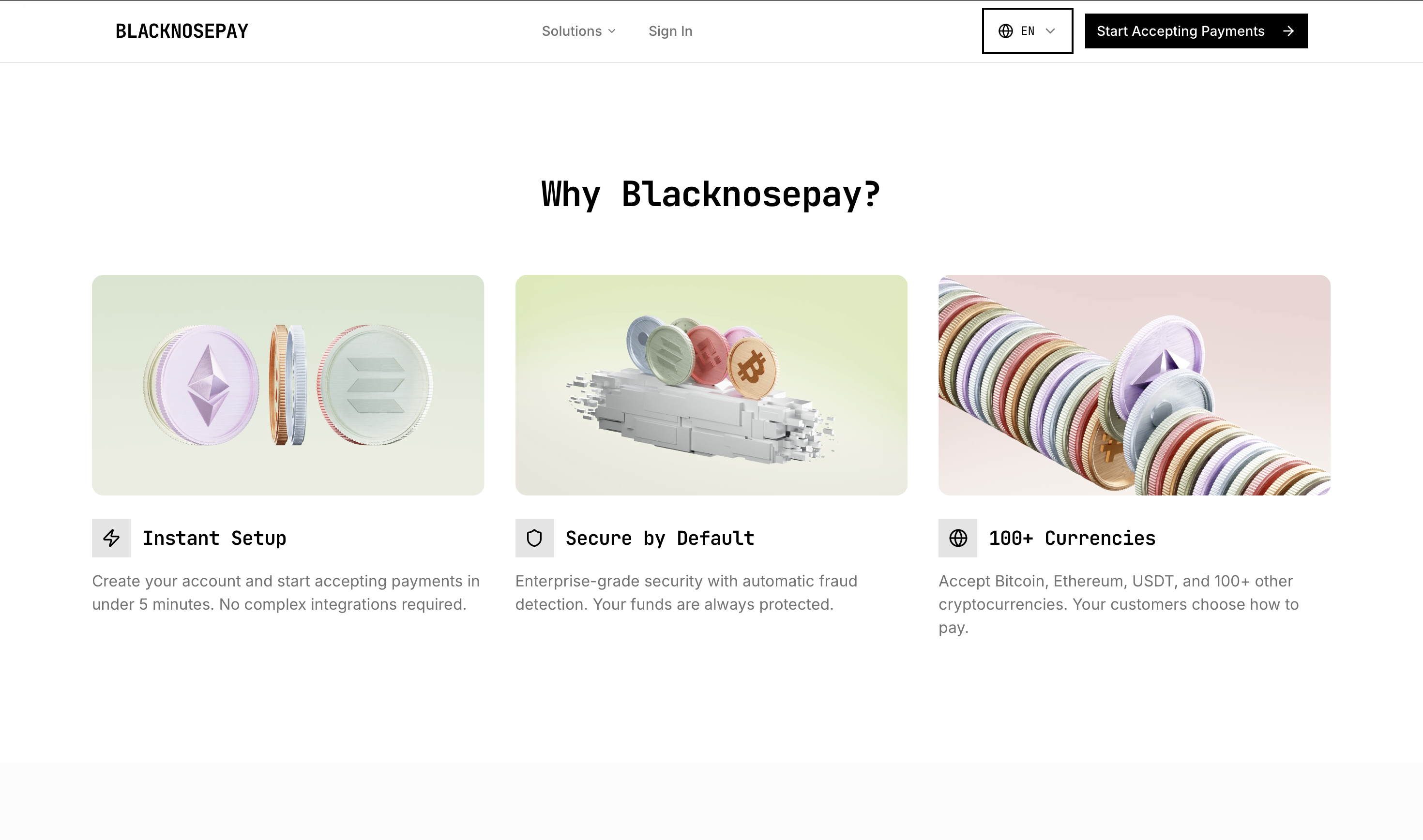 BlackNosePay - Screenshot 2 showing product features and functionality