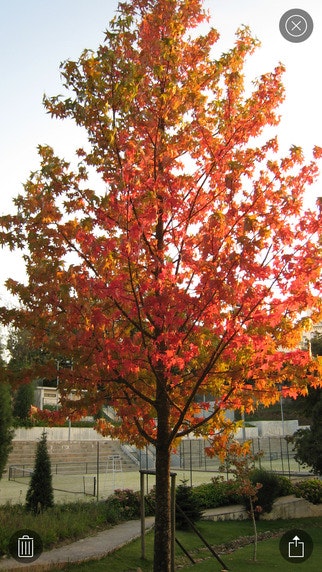 Memories gallery image