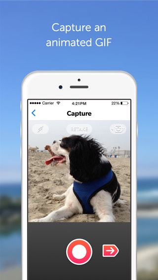 GifCap gallery image