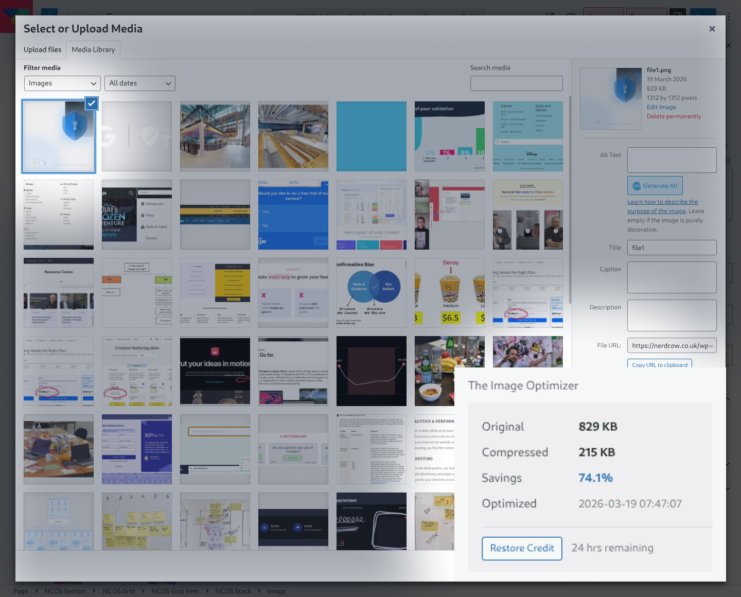 The Image Optimizer gallery image