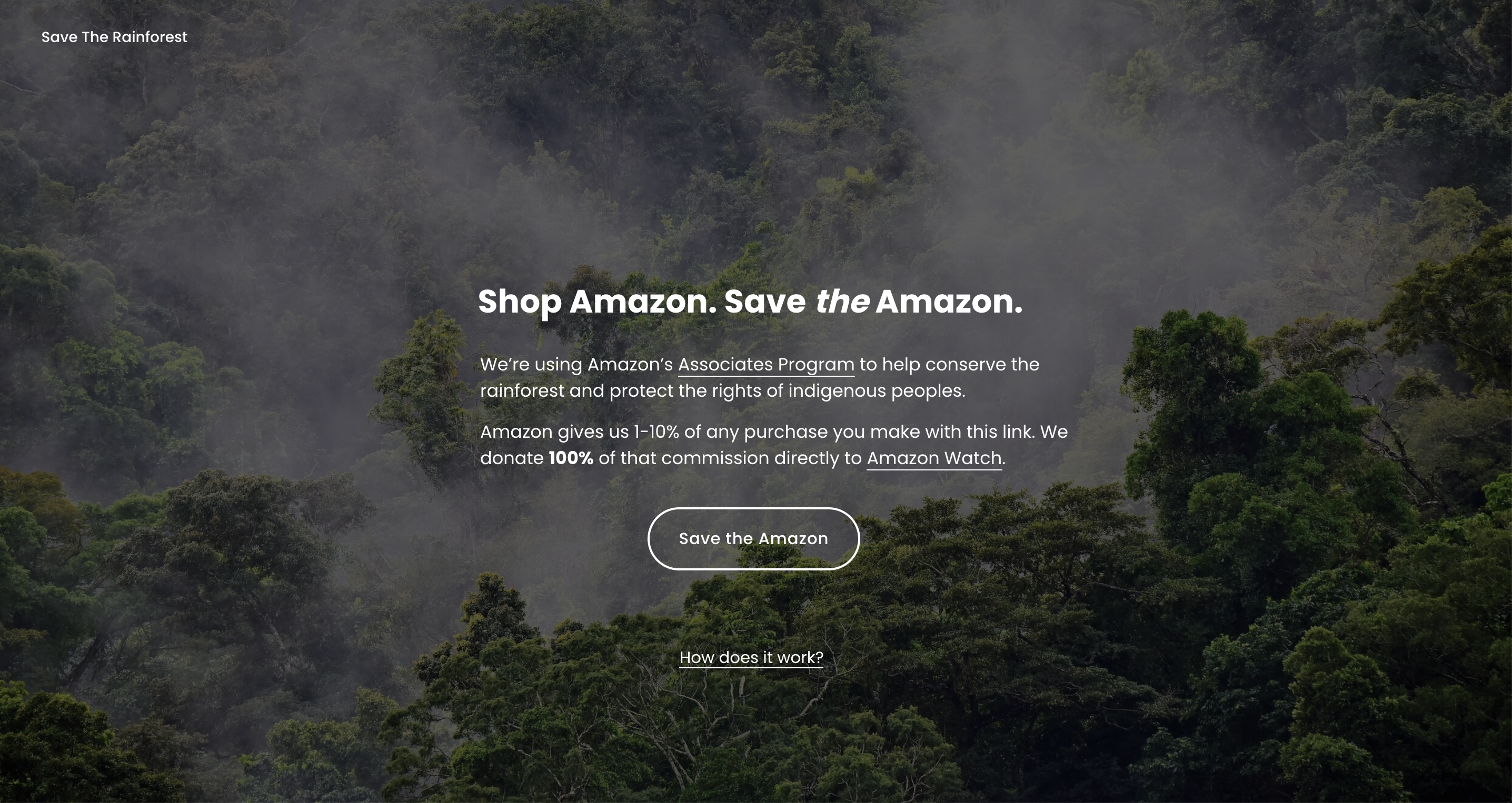 Save the Rainforest gallery image