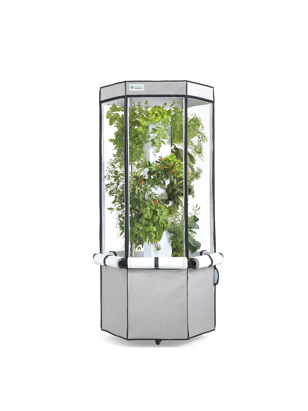 Aerospring Indoor Garden gallery image