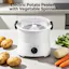 Electric Potato Peeler