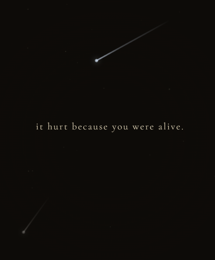 Cinderella gallery image